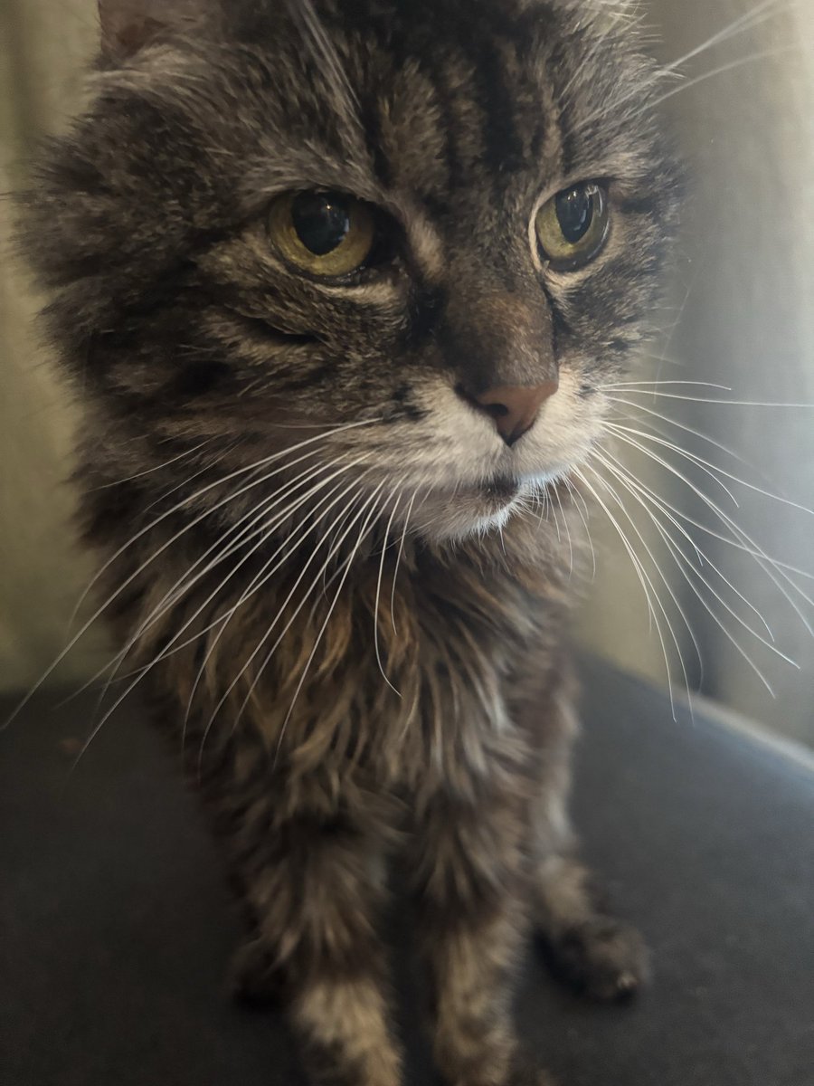 matt m (@mckaymania) on Twitter photo 