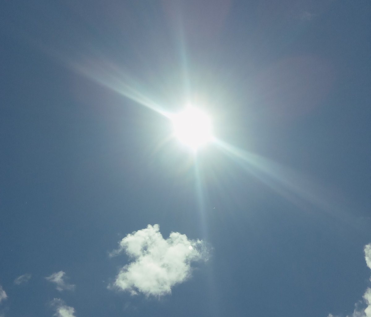 Desear los buenos días cada amanecer no es un mero acto de cortesía, es una manera de agradecer al universo por estar vivos. Algunos son especiales, como hoy; ~cargada de emoción y gratitud, regalo un sol caribeño a mis compañeras de PoeVive. ¡Gracias chicas! 🦋

Buenos días ☕🎶