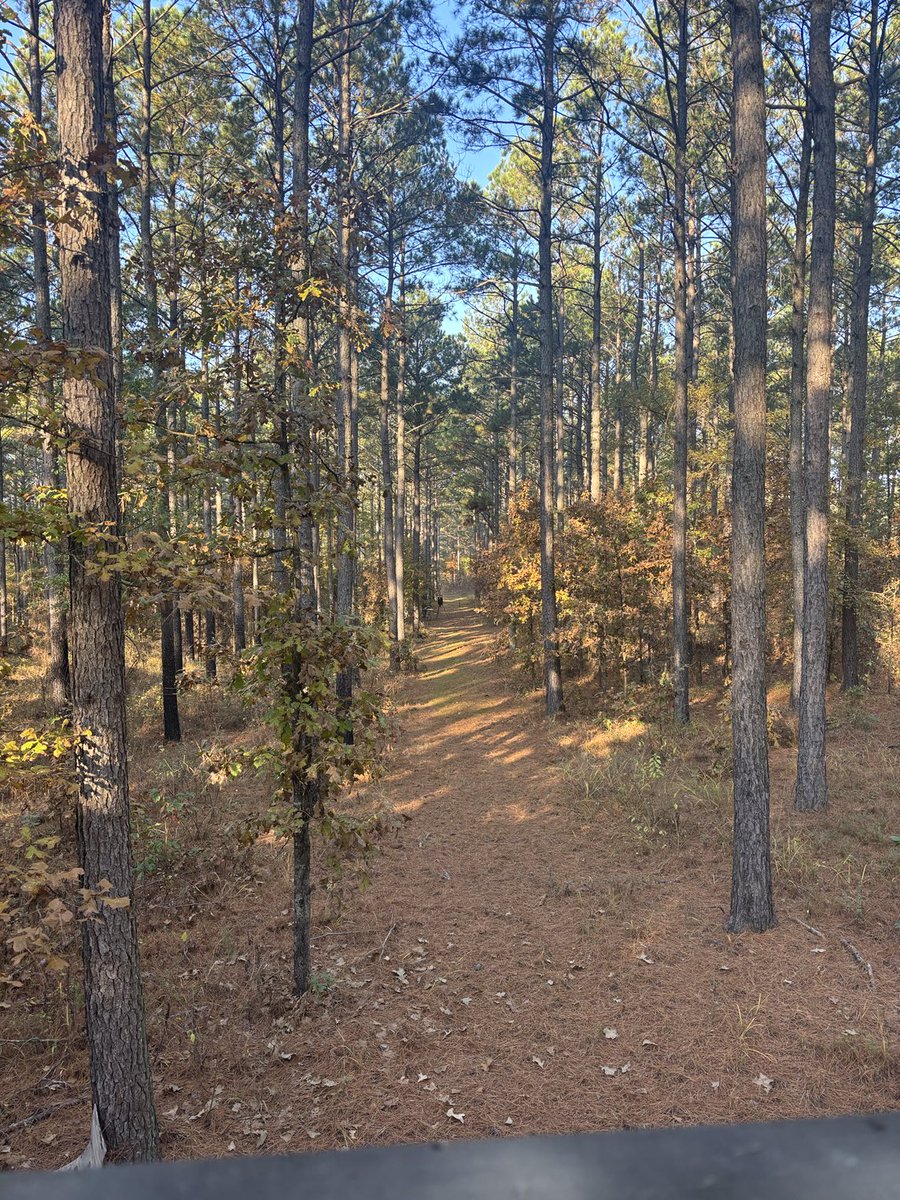 robby smith tweet media