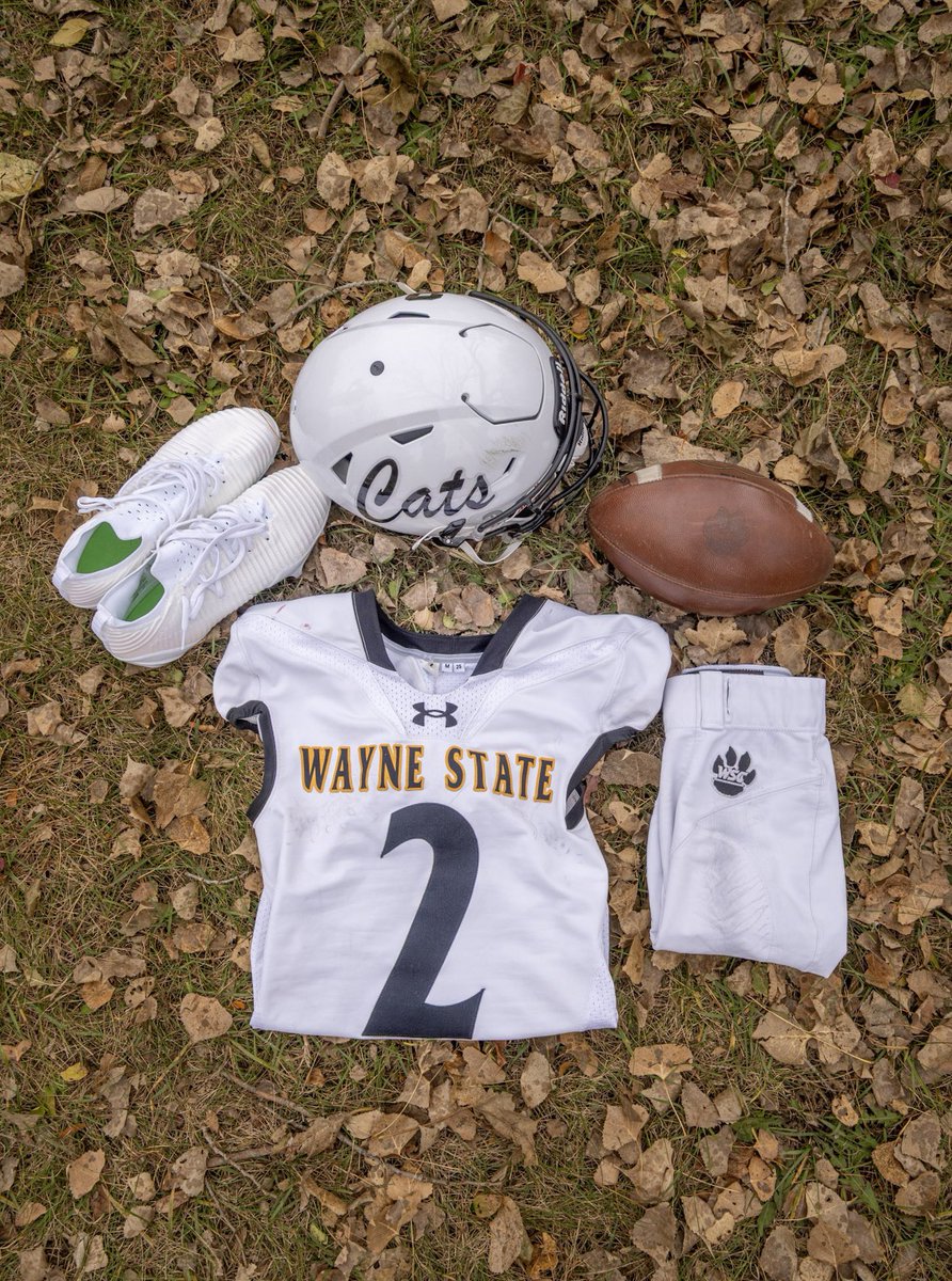 WayneStFootball's tweet image. WEEK 🔟 THREADS 

⚪️⚫️
⚪️
⚪️

🐯🐾🔥 #ForThePaw #PawUp