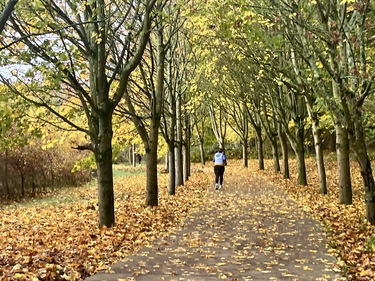 Lovely Autumn colours at the Mallow Castle <a href="/parkrunIE/">parkrun Ireland</a> this morning.