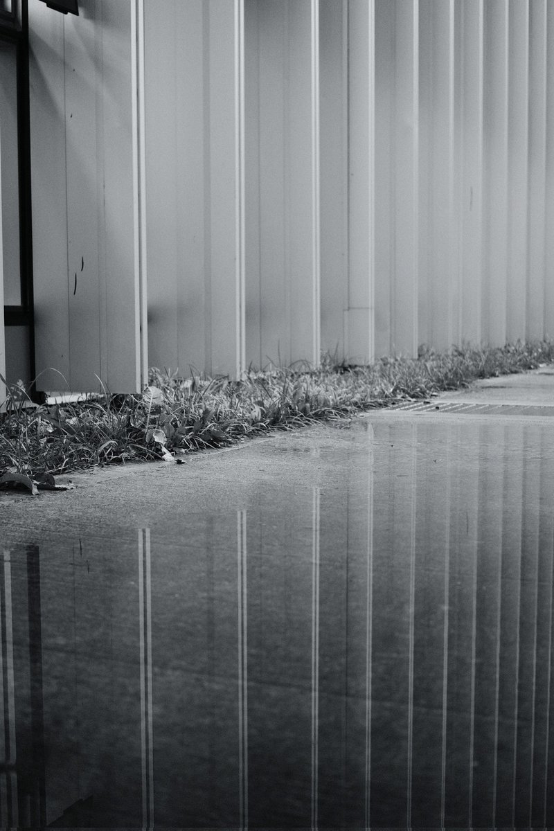 Después de la lluvia 
<a href="/Exactas_UBA/">Exactas UBA</a>