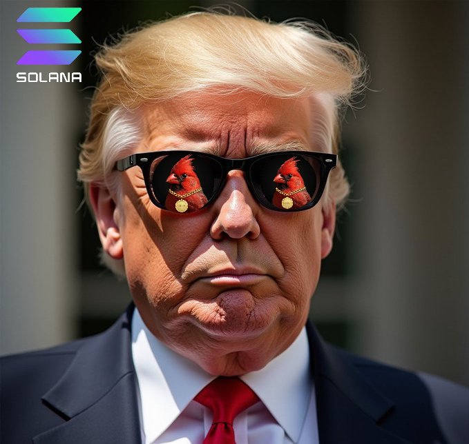 CardinalFun's tweet image. GM. #Cardinaltoken $Cardinal 🐧🐧

#Cardinals #CryptoMarket #memecoin #Trump #sstvi