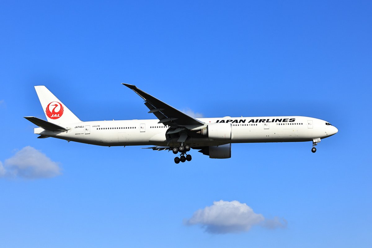 のそうけん (@nosokenpictures) / Posts / X