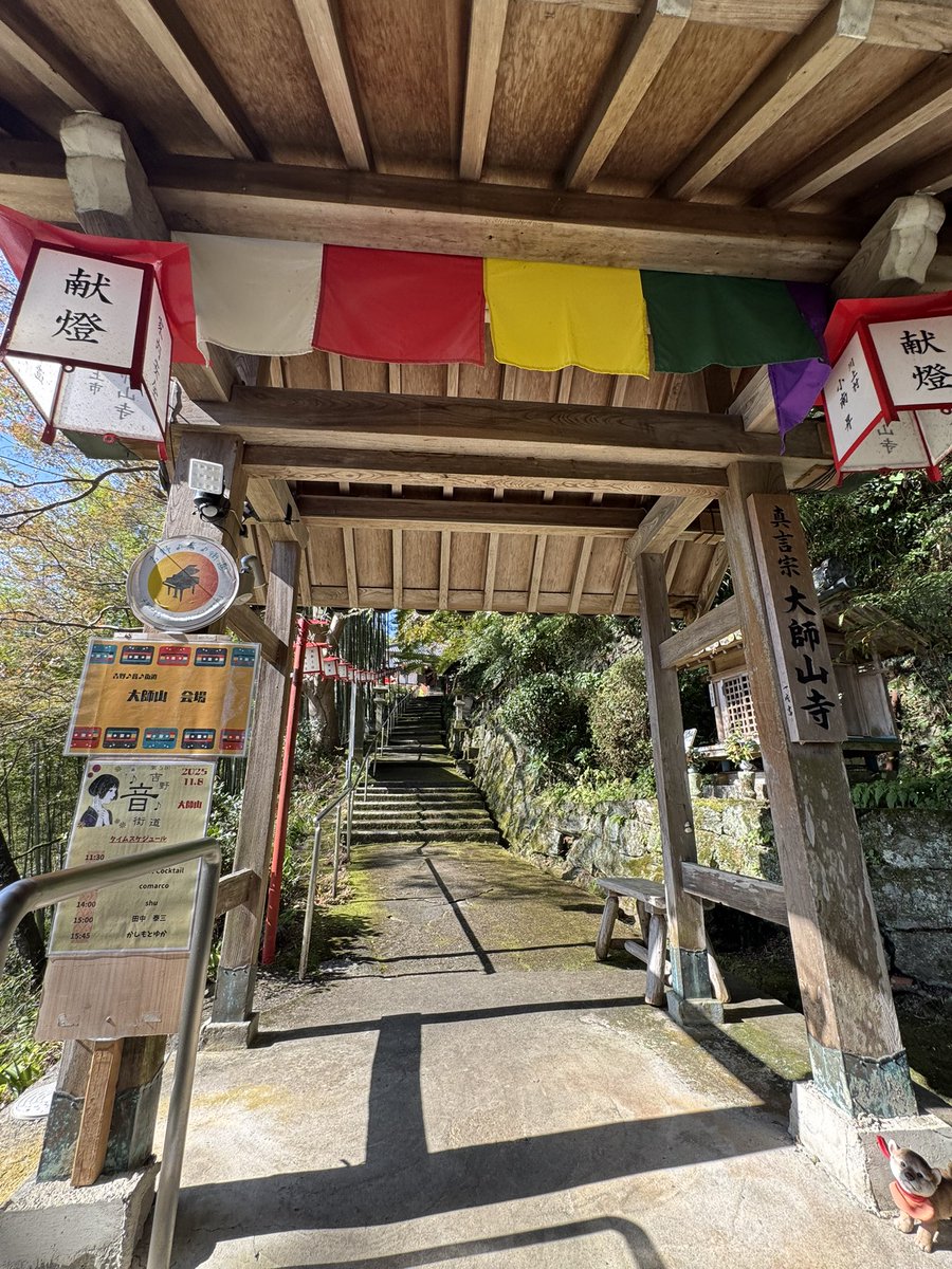 suncok_official's tweet image. 吉野音街道🎵

私たちは「大師山寺」会場。
お寺さまでの演奏🎶でした✨✨

眼下に吉野川が広がる素晴らしい景観の山寺で、心地よい秋の午後、ボサノバ演奏をさせて頂きました😌♫

たくさんの方にお越し頂き、ありがとうございました✨

#吉野音街道
#SunsetCocktail
#ボサノバ