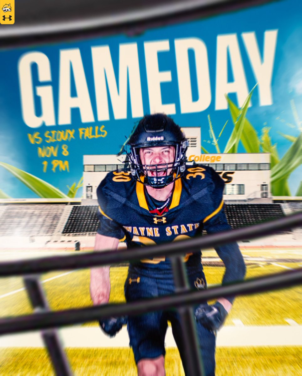 WayneStFootball's tweet image. 𝐈𝐓’𝐒 𝐆𝐀𝐌𝐄𝐃𝐀𝐘 🐯🐾🔥

#ForThePaw #PawUp