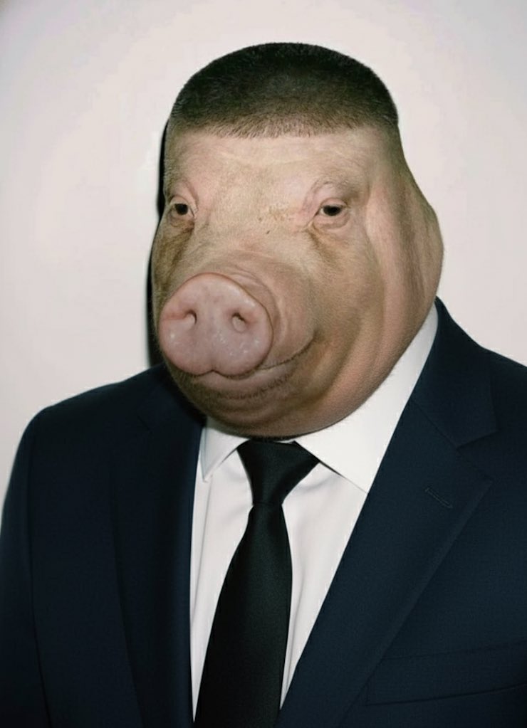 Fade Pig Exploding They got fade pig wearing a suit