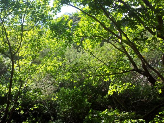 Yirmi yedi yıl sonra görüşürüz. ondergungor.com/2025/10/yirmi-… 
#blog #hacettepe #tıp #kitap #anı