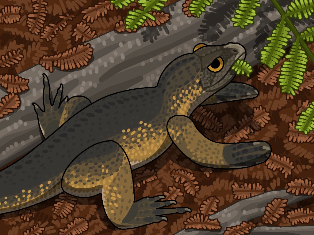paleoii's tweet image. #paleoart