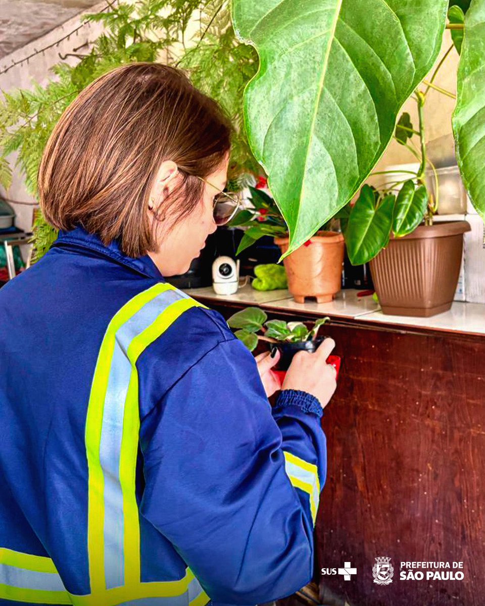 saudeprefsp's tweet image. 🏠 As equipes fizeram visitas casa a casa, eliminação de criadouros, aplicação de larvicidas e campanhas educativas para conscientizar a população.

👉 Confira algumas imagens da ação!

#SaudePrefSP #SUS #Prevencao #Dengue #NaoDeixeADengueEntrar