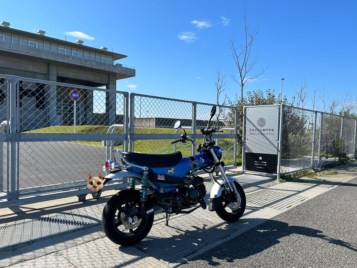 大和ミナミ on X