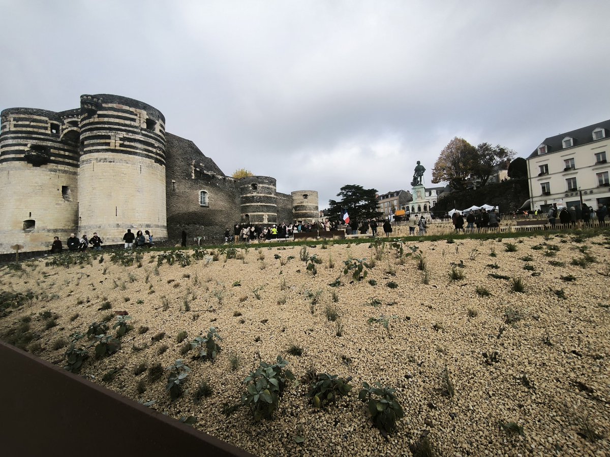 RCFANJOU's tweet image. La statue du roi René est de retour dans sa ville @Angers en présence de @ChristopheBechu et de la population.