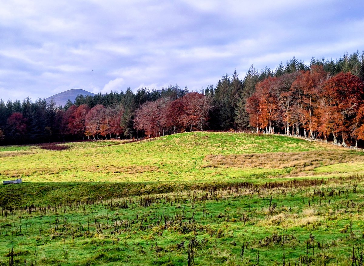 Miranda Moore ☀️ tweet media