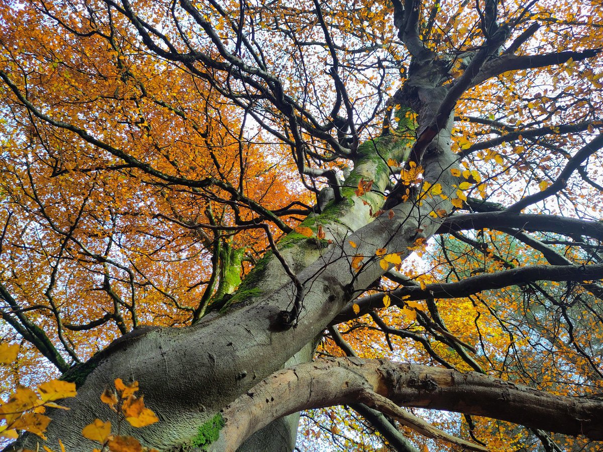 Miranda Moore ☀️ tweet media