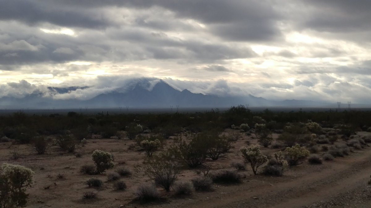 Box13_StarTimes's tweet image. 