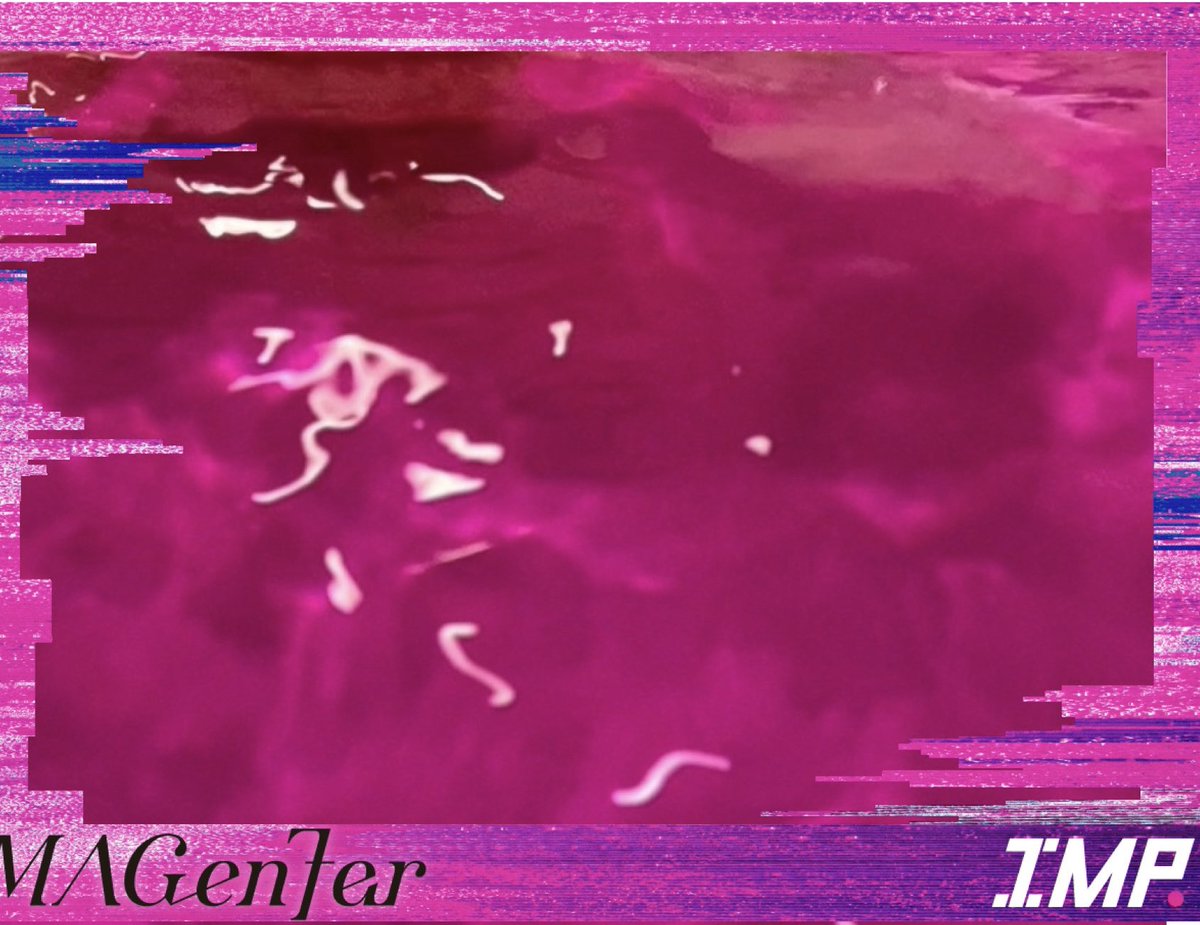 マリリン: (@dzfysavINcY4Ly3) / Posts / X