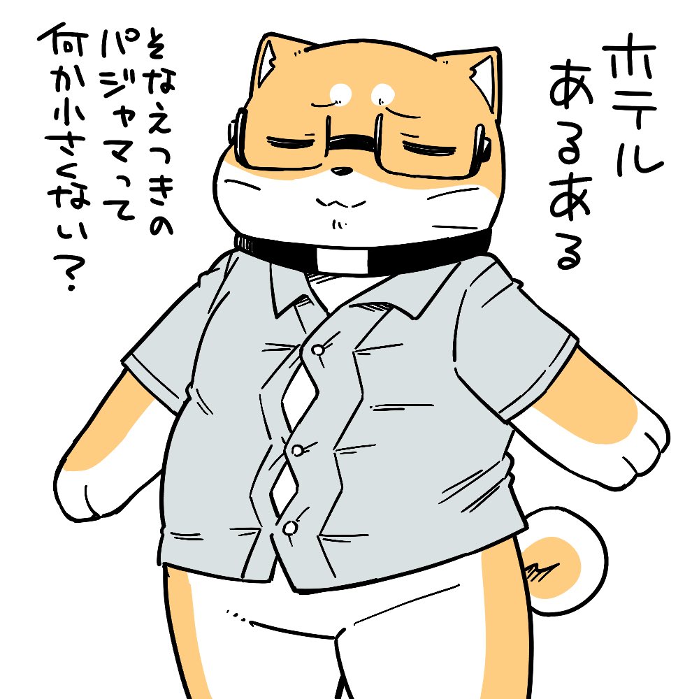 ことらページ 楽天市場】【5%OFFｸｰﾎﾟﾝ☆お買い物ﾏﾗｿﾝ限定☆P5】【レビュー