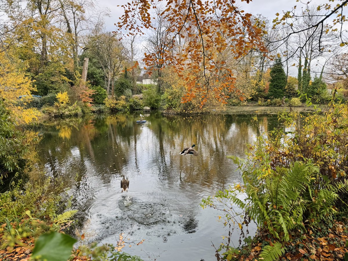 I escaped for 5 minutes from a b-day party