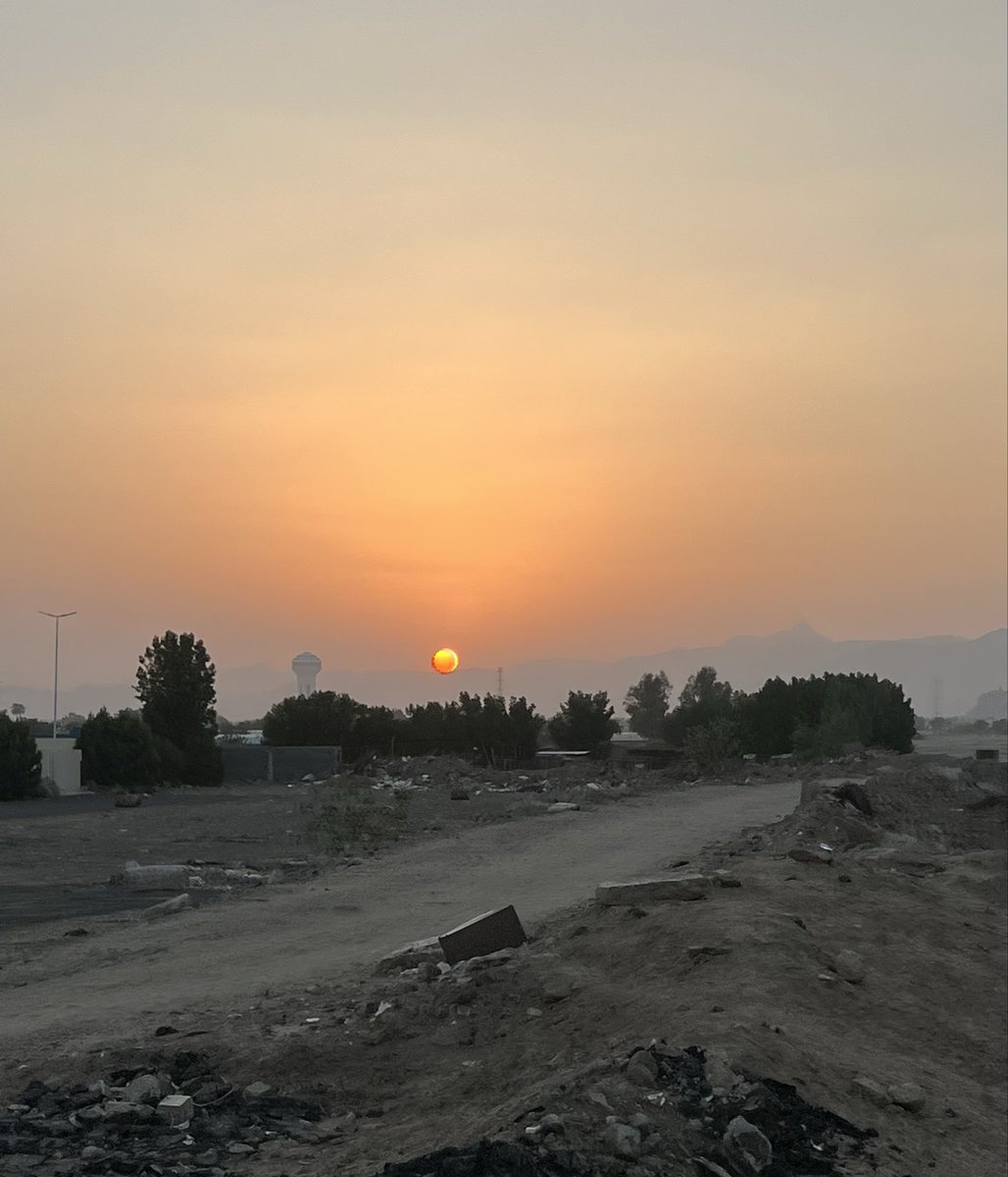 تميم tweet media