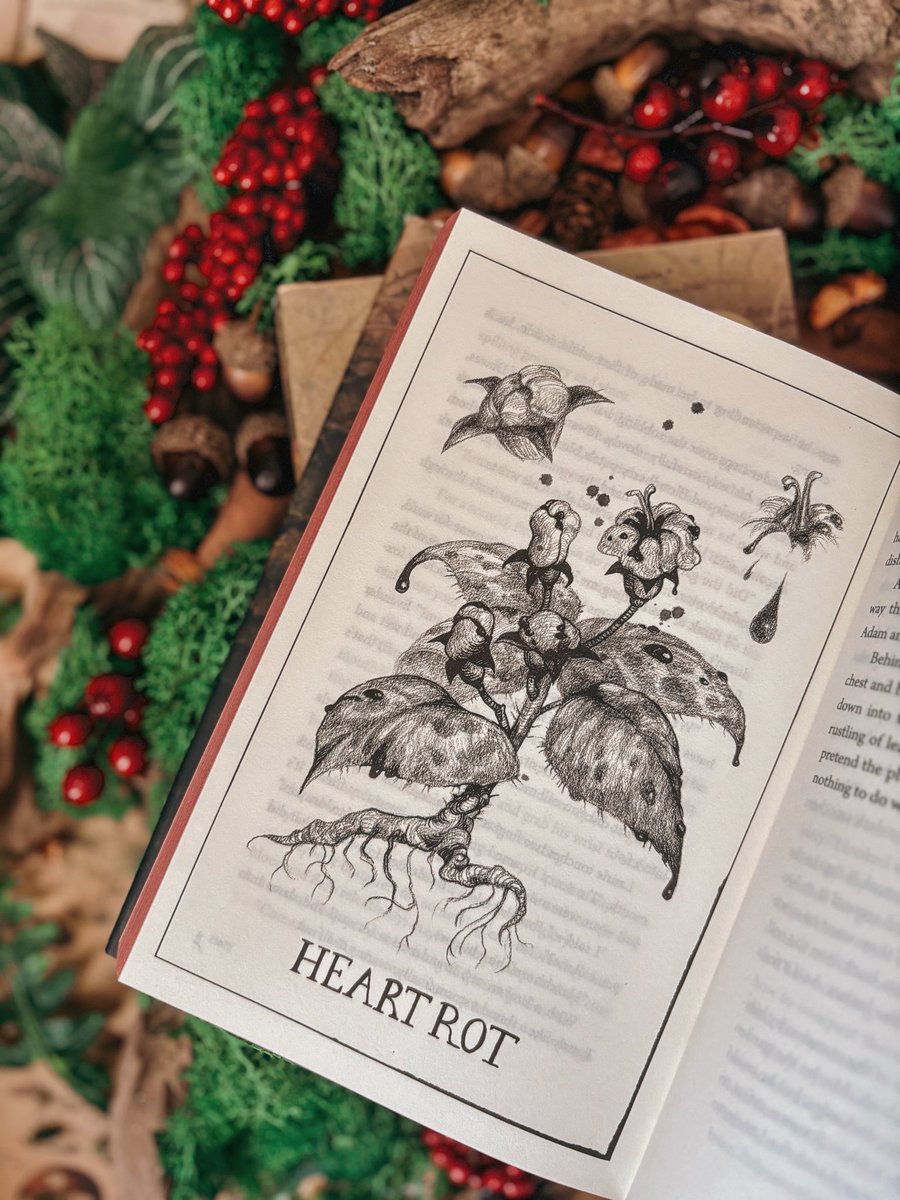 when it's your cottagegore horror era and you are hungry for books filled with botanical rot and eldritch gardens and vines growing through ribcages and monsters dug out of the dirt and obsessive gothic romances and there's moss growing over your fingers as you turn the next page