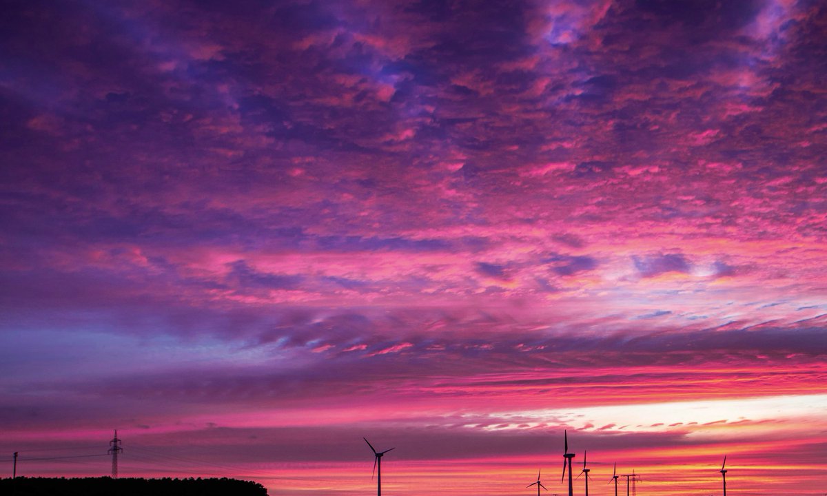 studio ghibli (@gardenofghibli) on Twitter photo 