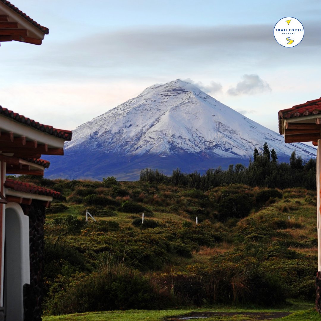 trailforth's tweet image. 🌋 ❄️ At sunrise, the majestic Cotopaxi emerges amid shades of gold and pink in the Andes. Its snow-capped peak rises above the clear sky as the light of dawn awakens the Andean valleys, filling the landscape with serenity and wonder.

#Ecuador 🇪🇨 ❤️