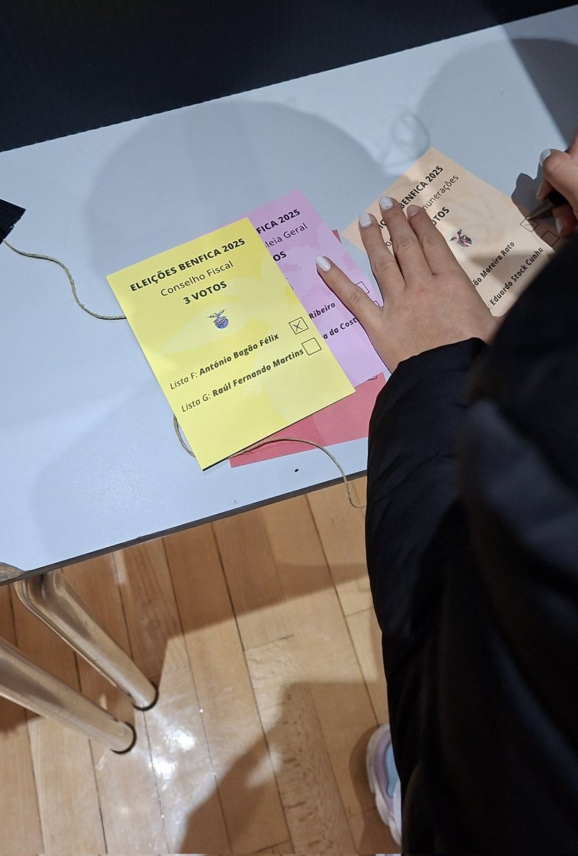 Quis ser ela a meter as cruzes e a depositar na urna. Tento passar-lhe o amor, a mística e os valores certos, aqueles que nos orgulham a todos e que fizeram do Benfica um clube gigante. Não sei se um dia será tão "doente" como eu, mas tento transmitir-lhe o que é ser Benfica.