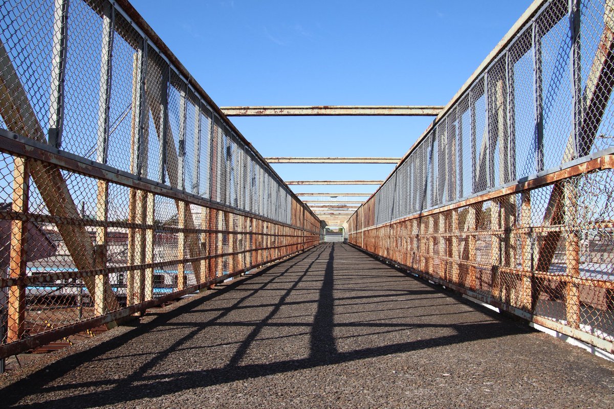 しまりす tweet media