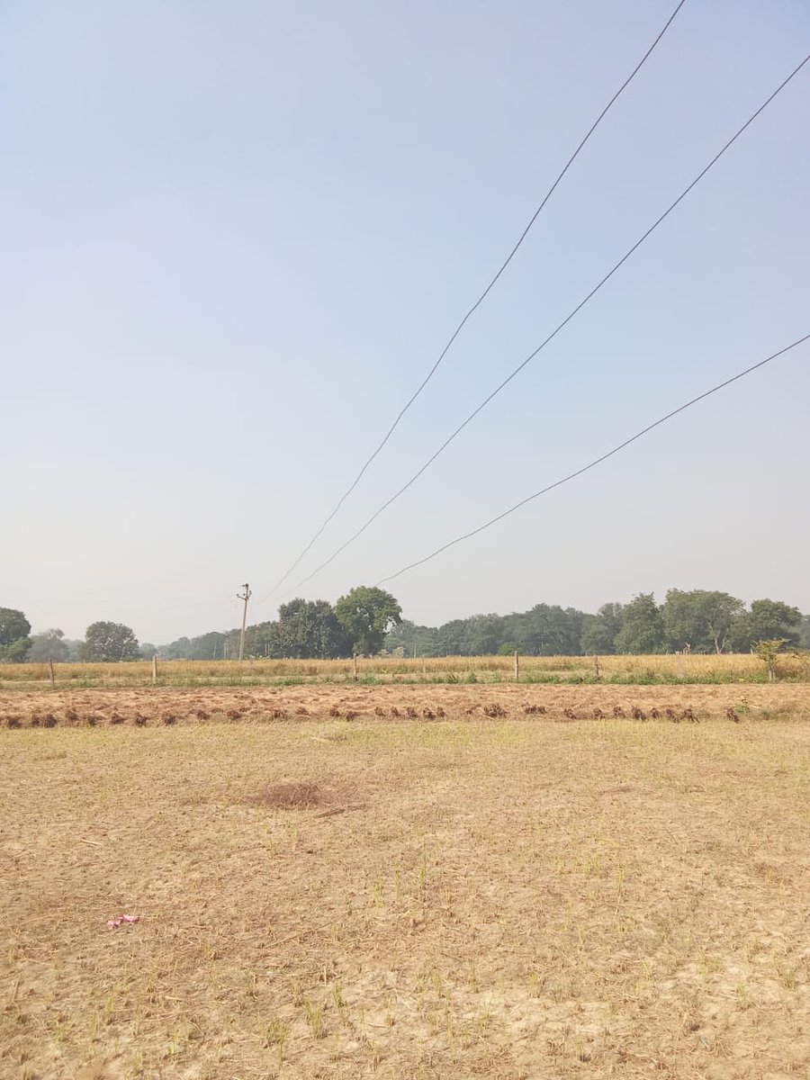 जनपद उन्नाव के अचलगंज पावरहाउस क्षेत्र के बदरका में खेतों में (निकट बच्छे बाबा) 11000 लाइन के तार खेतों मे लटक गये हैं किसी भी समय अप्रिय घटना हो सकती है मा० <a href="/UPPCLLKO/">UPPCL</a> @Madhyanchal <a href="/MVVNLUNNAO/">MVVNL UNNAO</a> जी कृपया अविलंब समस्या का समाधान करने का कष्ट करें <a href="/myogiadityanath/">Yogi Adityanath</a> <a href="/kpmaurya1/">Keshav Prasad Maurya</a> <a href="/aajtak/">AajTak</a>