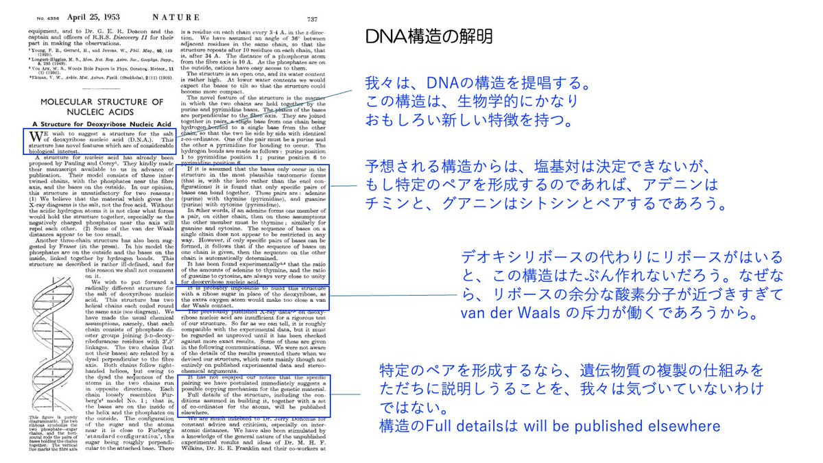 WATSON, J. D., &amp; CRICK, F. H. (1953)
Molecular structure of nucleic acids: a structure for deoxyribose nucleic acid. Nature 171: 737–738.
