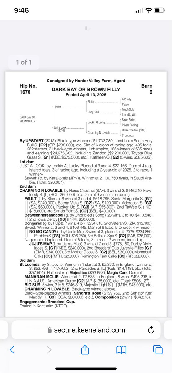 HunterValleyKY's tweet photo. Presented by @HunterValleyKY @keenelandsales Hip 1670 barn 9 filly by @AirdrieStud #Upstart https://t.co/Efh2FFkWIM