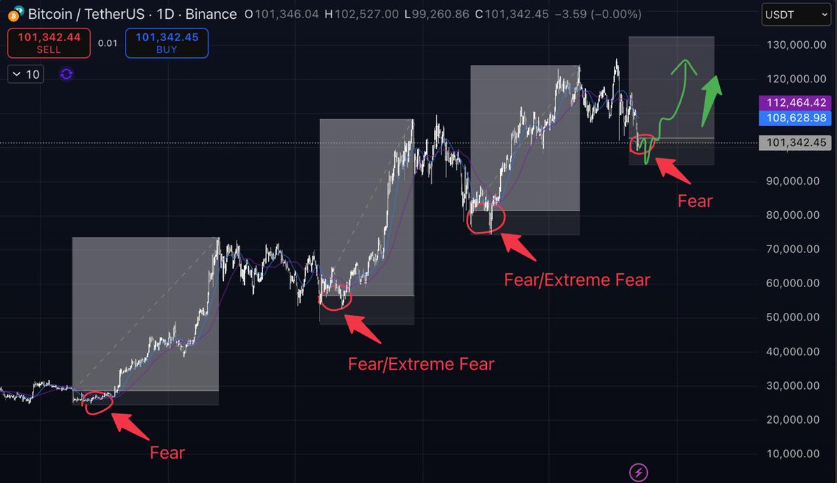 Pickle Cat tweet media