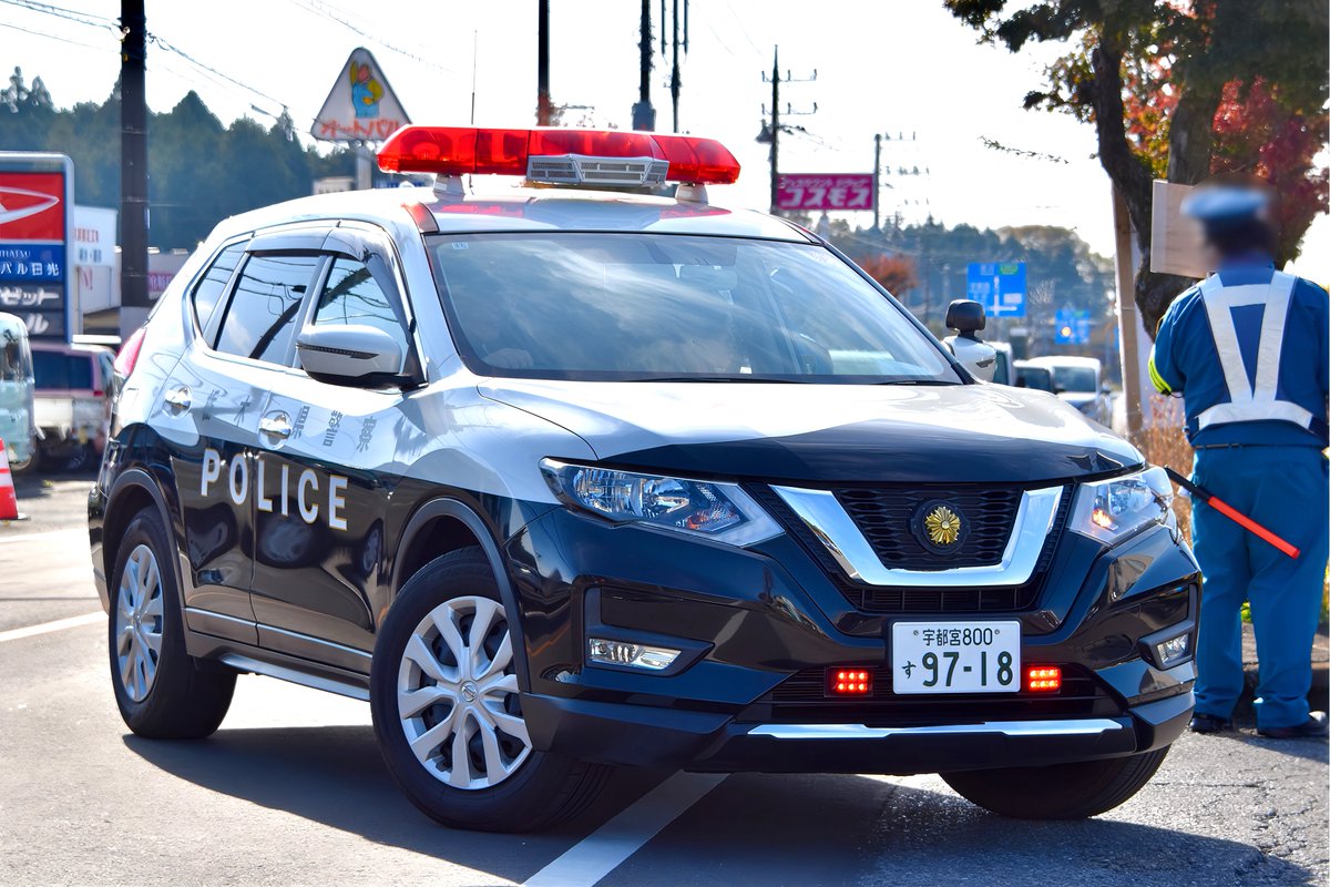 개 키치 ﾊﾙｷﾁ💙🍶 on X