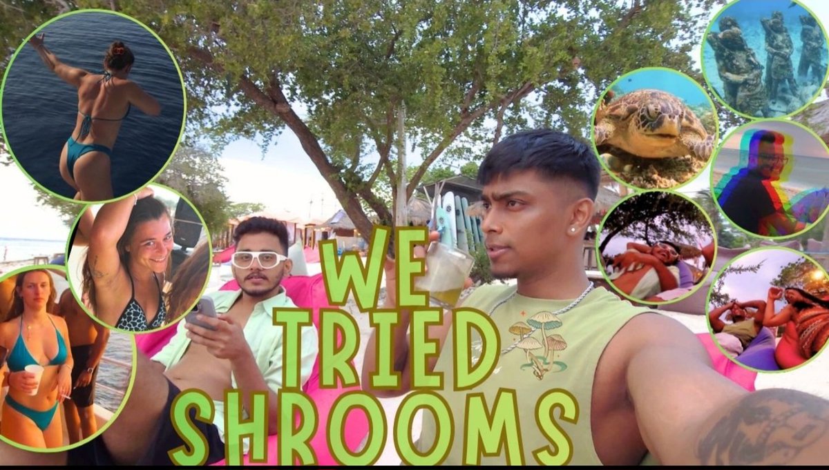 biswasripon15's tweet photo. Check my new vlog
https://t.co/GyFZ0axZIL 
#India #Bali #shrooms
#boatparty #ThalapathyKacheri https://t.co/i9drhBMBxX