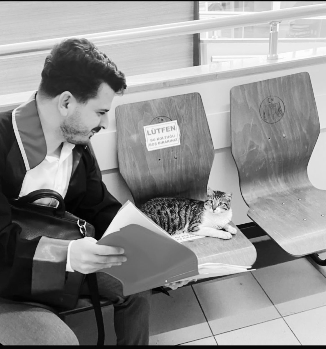 Bakırköy Adliyesine yeni atanan başsavcının ilk icraatı hayvan düşmanlığı oldu. Yarın kedilerin toplatılacağı bilgisini edindik.

Duruşma beklerken, yürürken, çay içerken yanımızda olan patili canlarımıza sahip çıkacağız.

Çağrımız herkesedir.