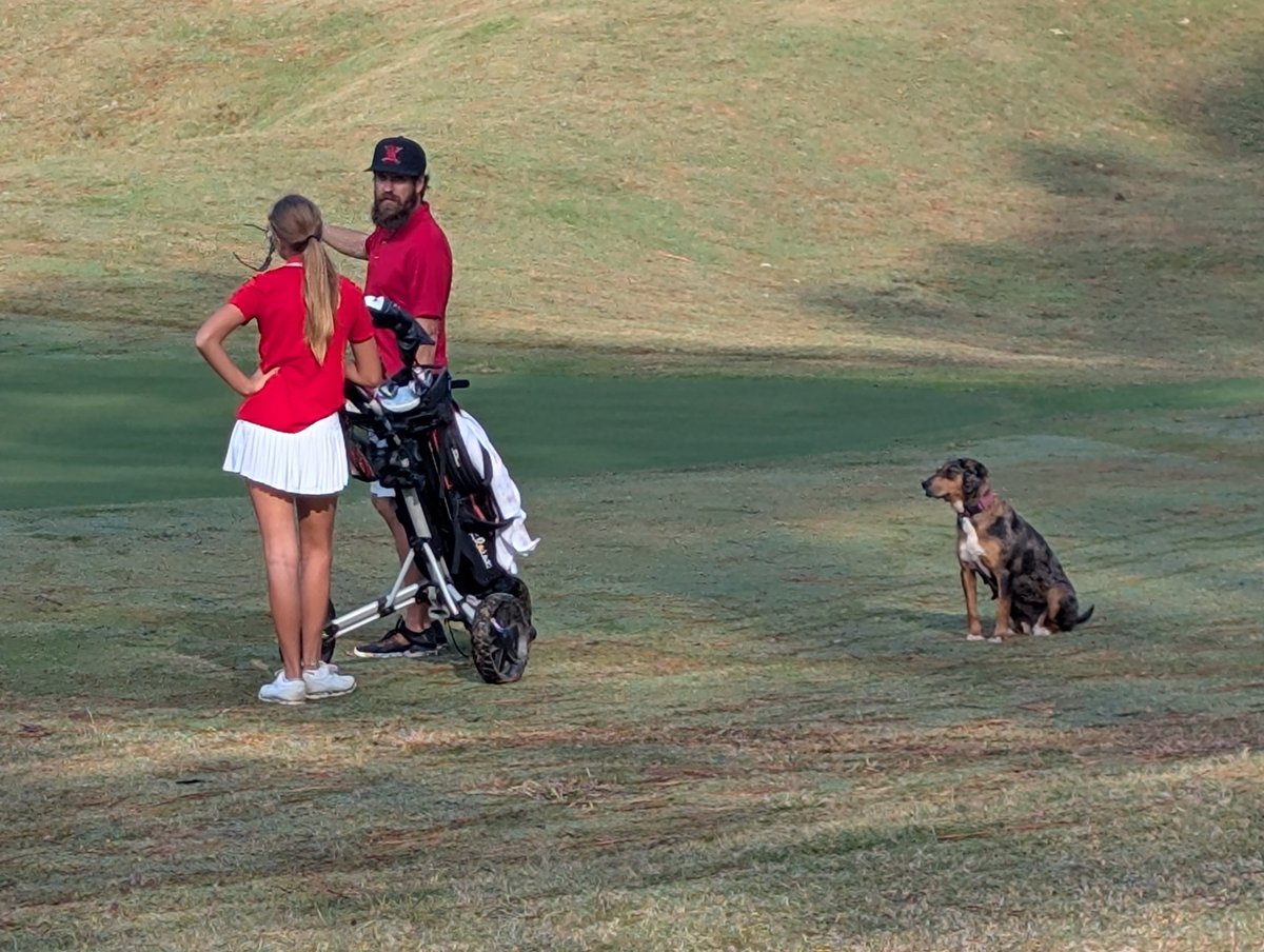 Katy Golf tweet media