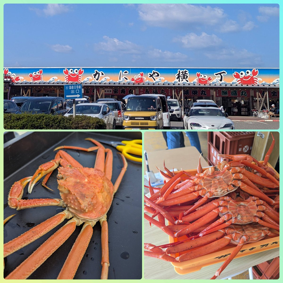 Hi_gokigen's tweet photo. 🦀ズワイガニ漁の解禁日は11/06
翌日、早速、新潟県能生まで🚙💨
紅葉や山頂に雪化粧した山々を眺めながらのごきげんドライブ❣️
その場で茹で上げてくれるズワイガニ、オレンジ色が眩しい紅ズワイガニを食べ比べ🥳
青空の下でカニにしゃぶりつく贅沢🦀
帰りは横川で峠の釜めし
往復809.5kmの日帰り😆 https://t.co/yQlJhurqAM