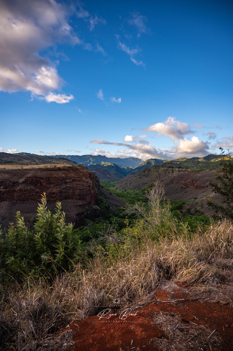 Ryan Brock tweet media