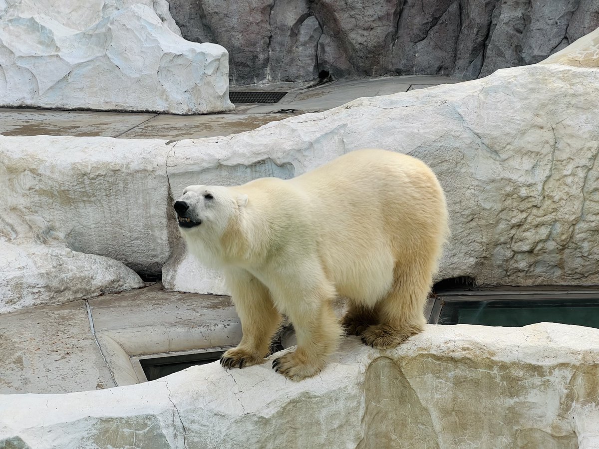 Was a good day.
Have a good weekend y'all