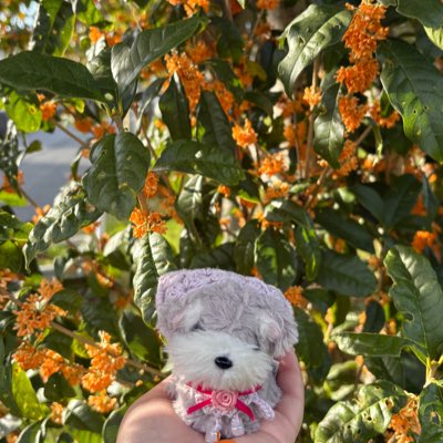 calmbogey's tweet photo. #新しいプロフィール画像 https://t.co/SDEbZapGDZ