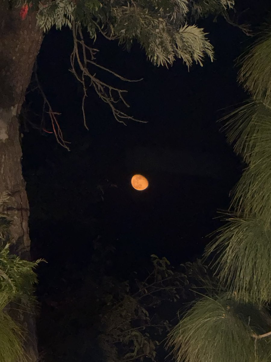 sandeepbansal28's tweet image. 