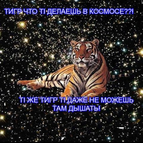 sun_red's tweet image. Последняя сохраненная картинка в галерее - это ты
