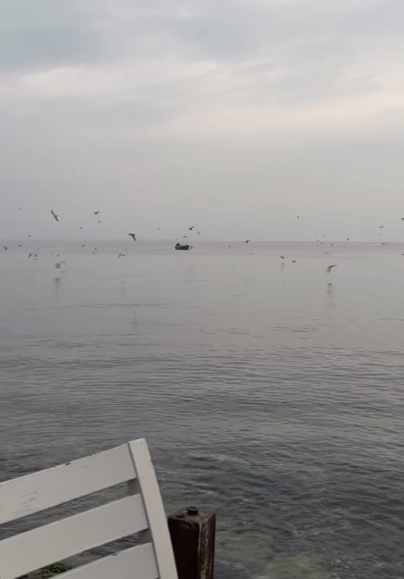 Seçici ol, huzurlu ol. 💙
…  ✍️