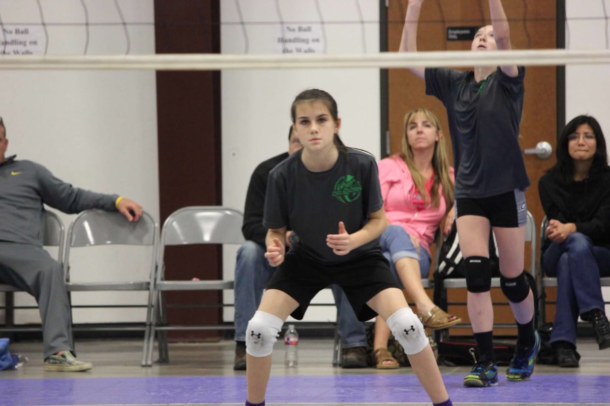 OuachitaVB's tweet photo. Starting off Saturday morning w/ our 3rd SR- @the_emdoza! Emily is from Arlington, TX and majoring in psychology. She is a part of a the 1000 kill club, a 3x All GAC performer, and has been on the All Ouachita Academic Team the last two years! #tigerforlife #TIGS @OuachitaTigers https://t.co/U2uEh4mYOz