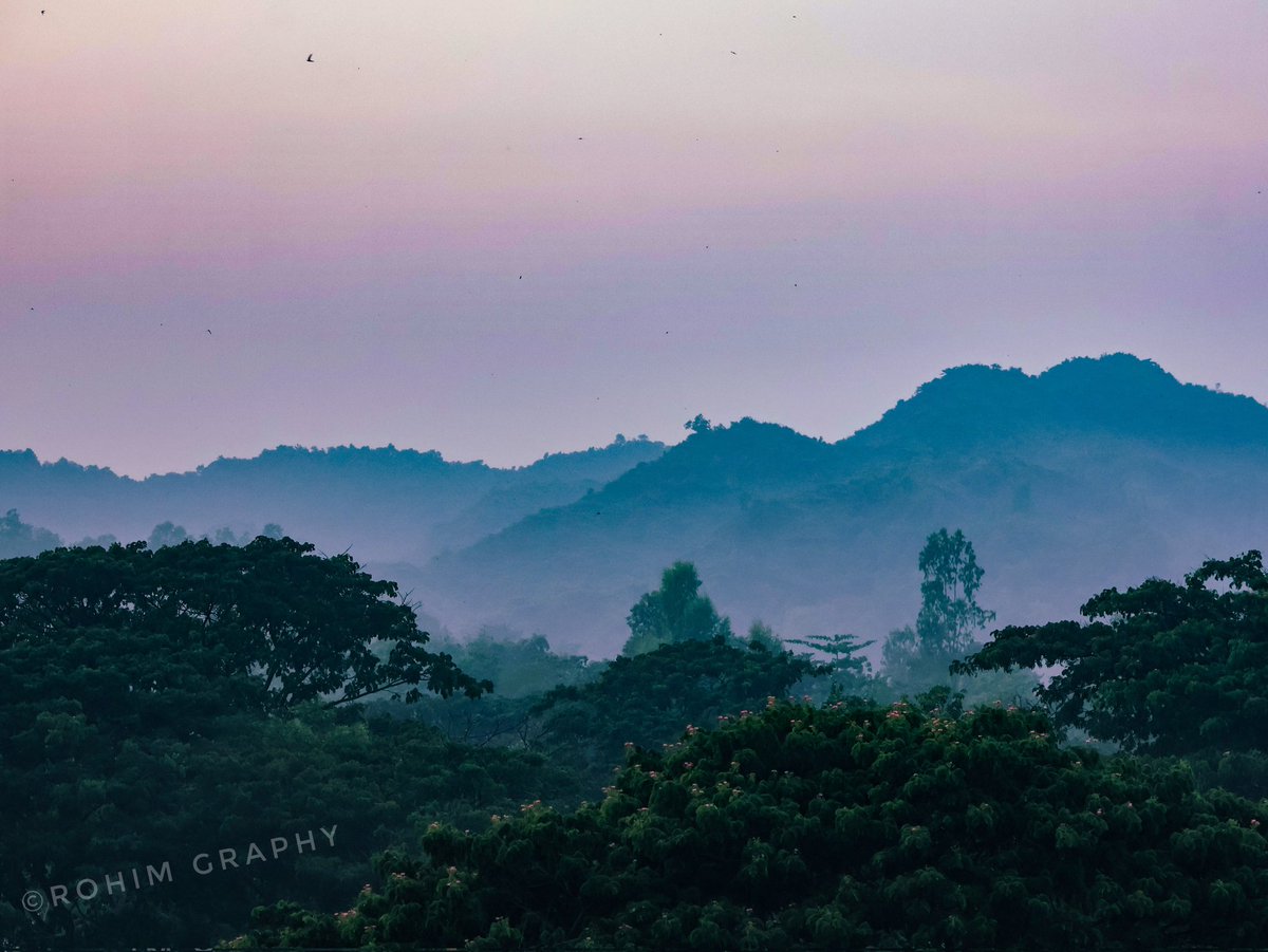 CFWRohimUllah's tweet photo. The hilltop view painted with trees, evening light, snow, where nature’s beauty endless.
#HilltopView #Nature #GreenHills #VollageLife
Photo: @CFWRohimUllah https://t.co/Xi2YU9DJnB
