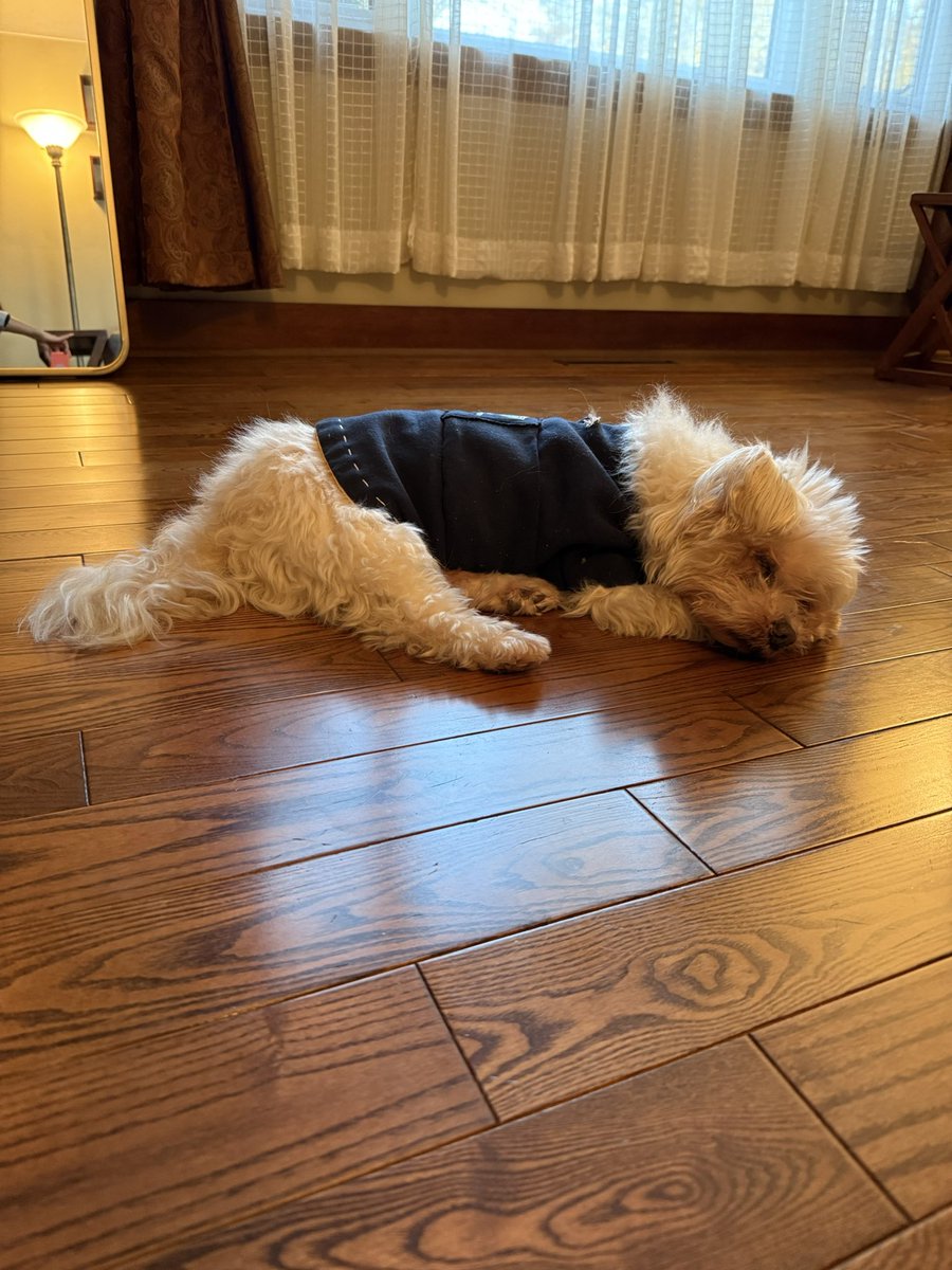 自分らしく生きたい女性を応援するコーチ．ゆうこママ、Yuko