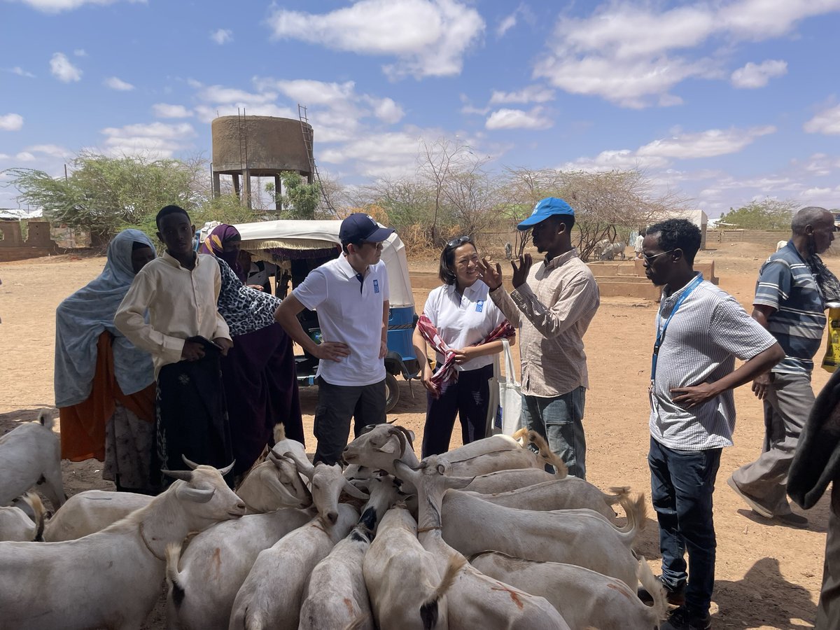 UNDP Planet tweet media