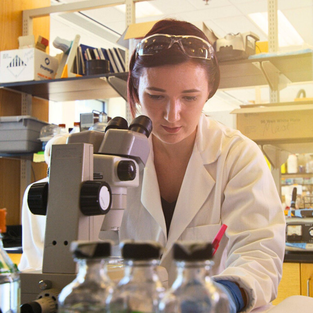 EasternMichU's tweet image. On National STEM Day, we&apos;re highlighting some of our students, faculty, and programs at the forefront of STEM education. 

#TRUEMU #BecomeMoreYou #NationalSTEMDay