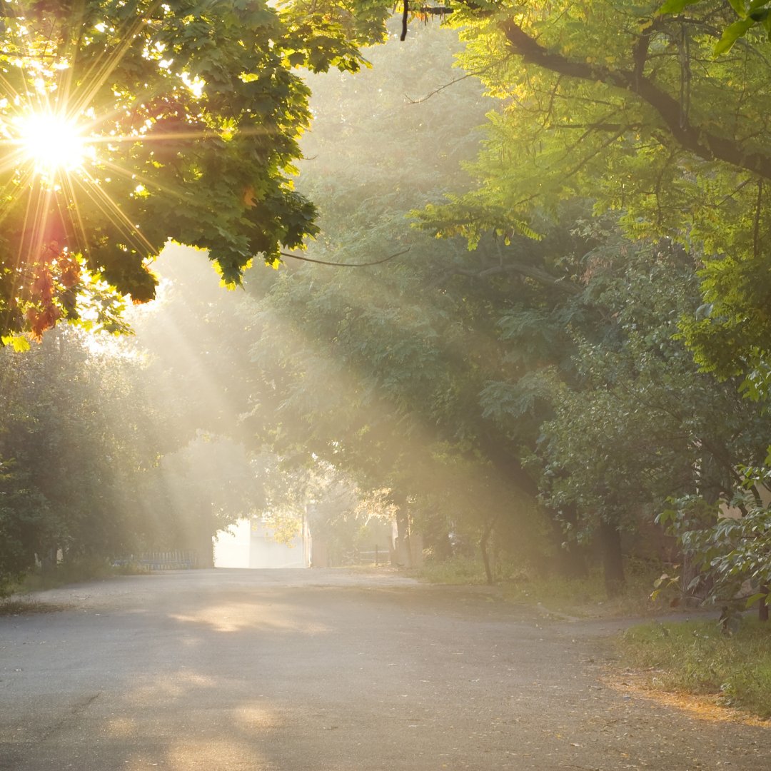 GaianWay's tweet image. When was the last time you sat still and simply listened—to wind through trees, a stream in fall, the hum of the unseen? 

Earth Eclectic offers that space.

Listen, reflect, belong. eartheclectic.org

Which sound moves you closer to Earth?

 #GaianWay #EarthMusic