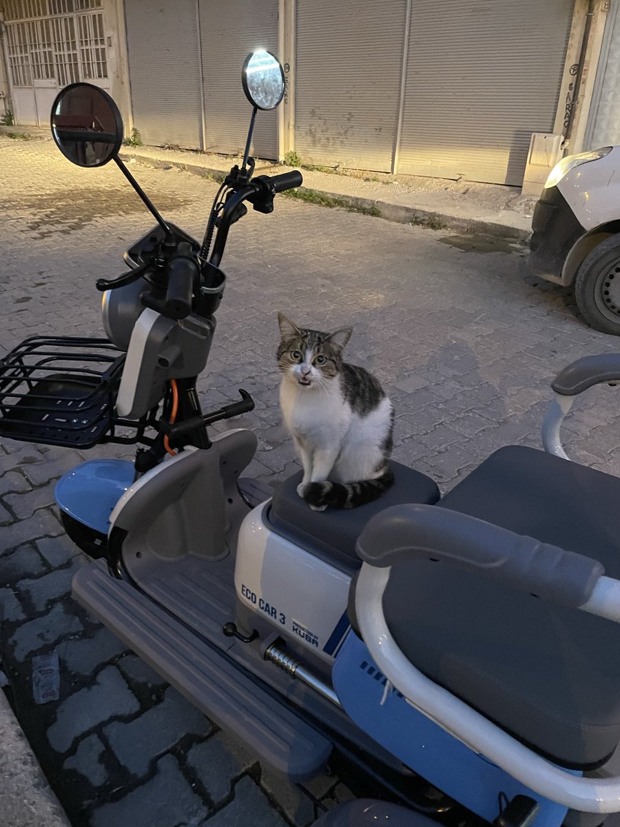 Sür şoför sürde şu bitli mahalleden bir an önce kurtulalım